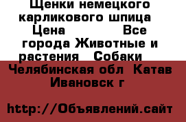 Щенки немецкого карликового шпица › Цена ­ 20 000 - Все города Животные и растения » Собаки   . Челябинская обл.,Катав-Ивановск г.